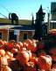 halloween02.jpg