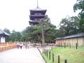 nara01.jpg